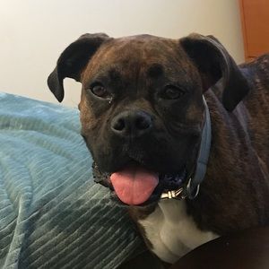 Meet your Posher, Christan